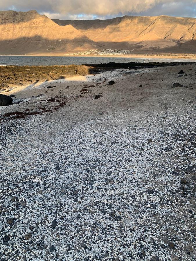 El Puertito By Tor Lejlighed Teguise  Eksteriør billede